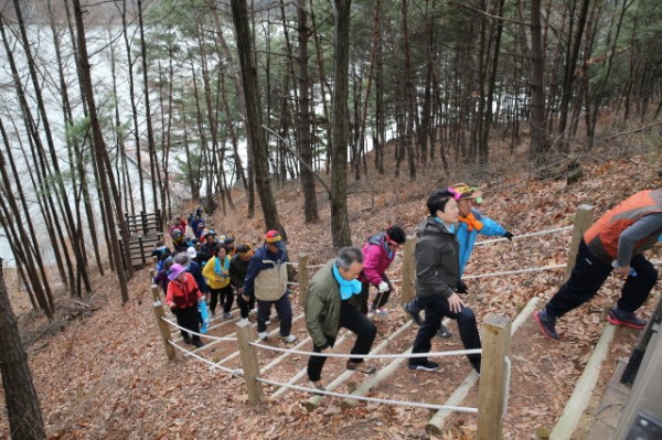 3e6b4a8d1cd25b2dbbc7419b49609f33_1553157