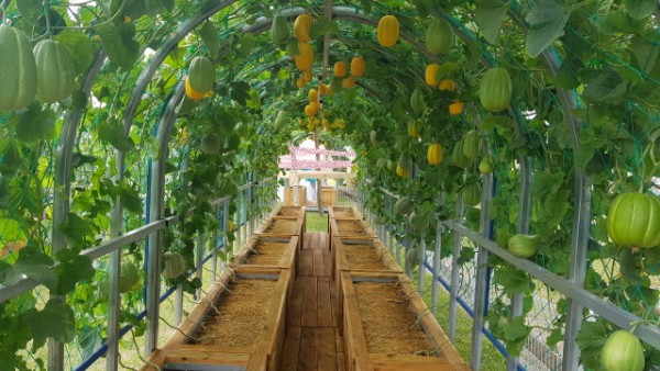 12c56144e4e522d7dd02fa079abe4cba_1558057