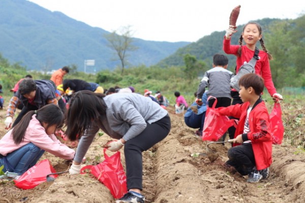 bfb069da9c887d160b8a88c897811537_1569501